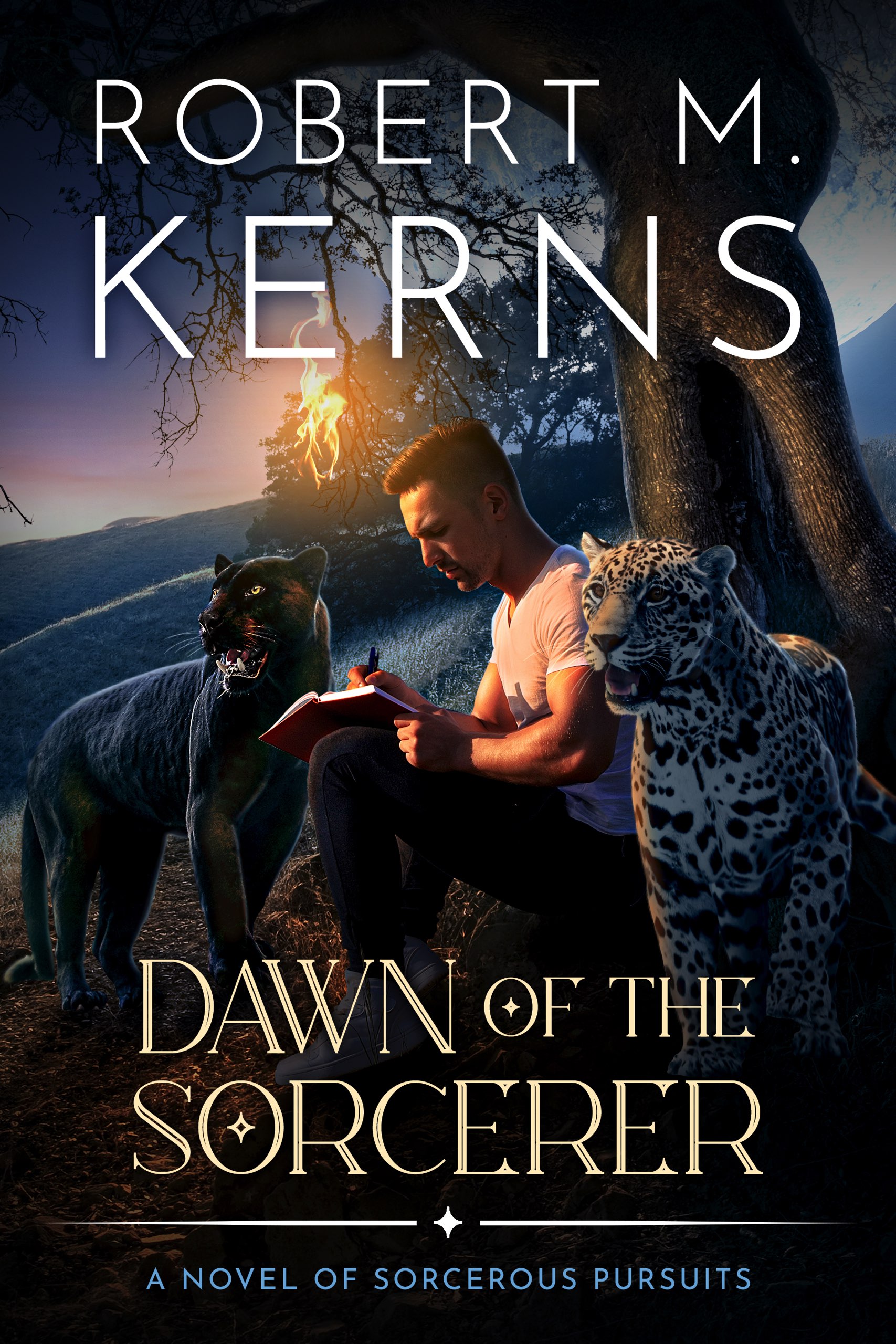 Dawn of the Sorcerer by Robert M. Kerns